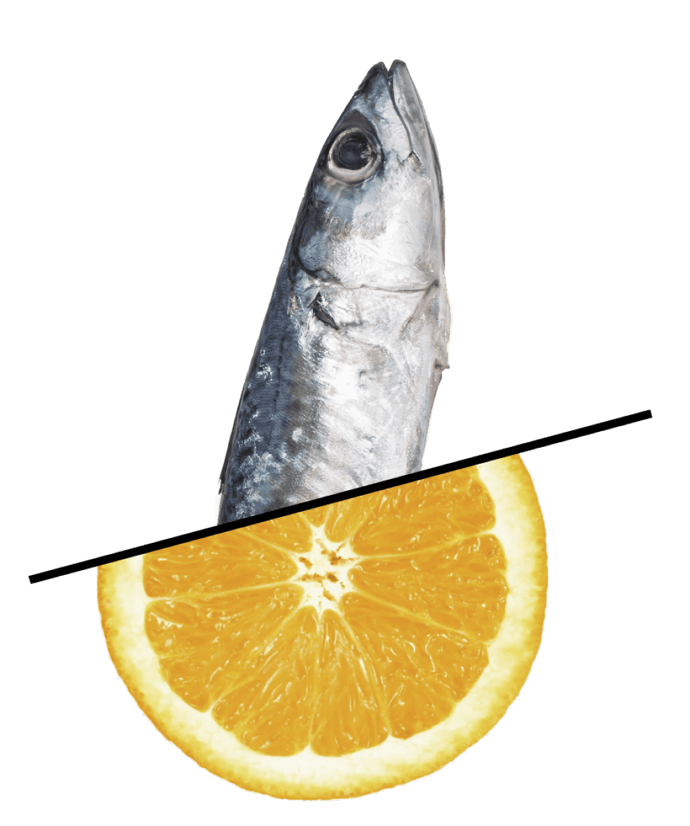 Btem pescado y naranja